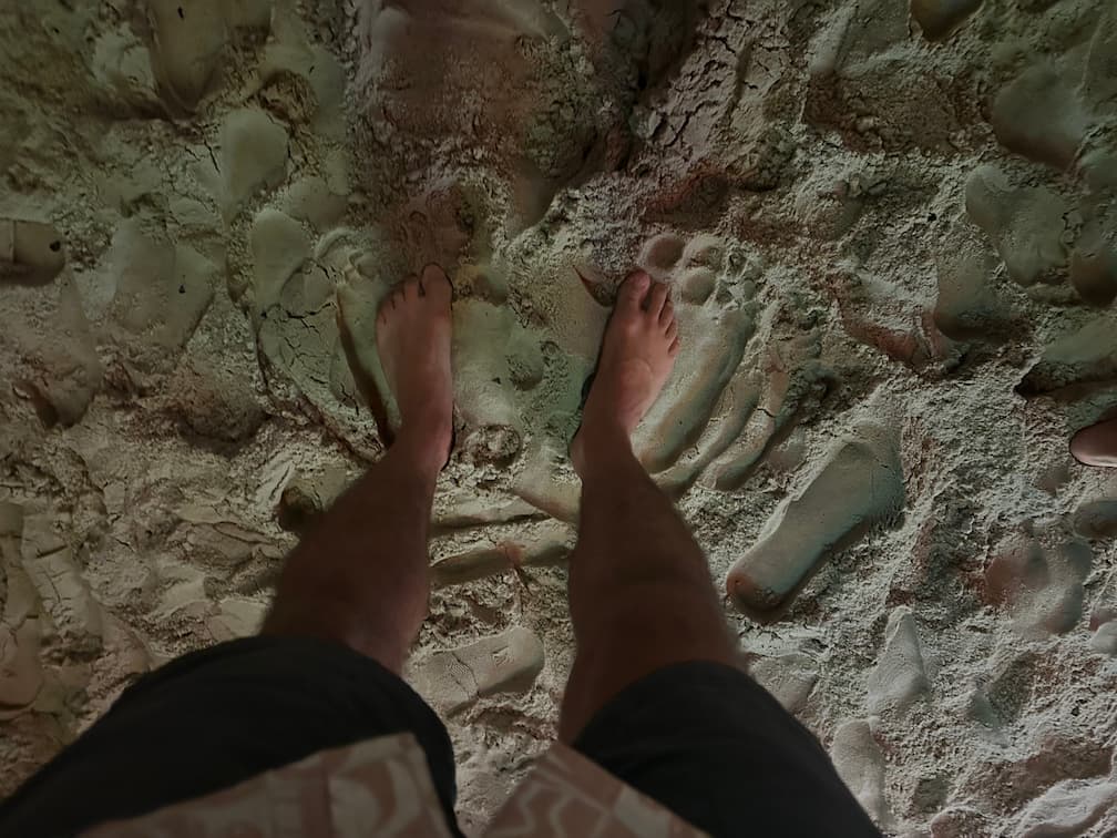 Dia 125 da recuperação do joelho