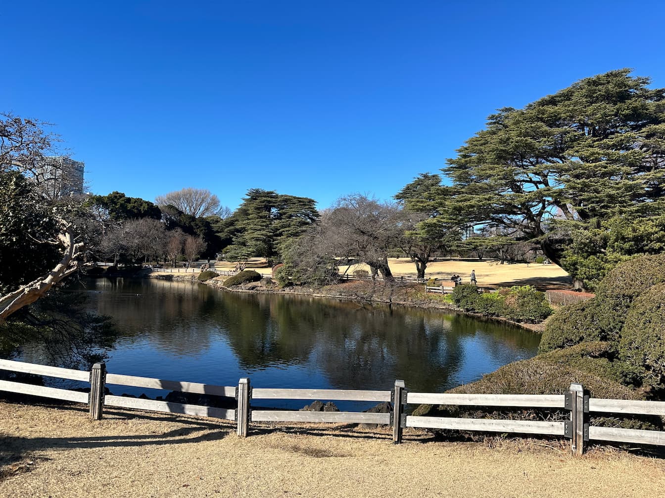 Foto do progresso no dia 51 da recuperação do joelho