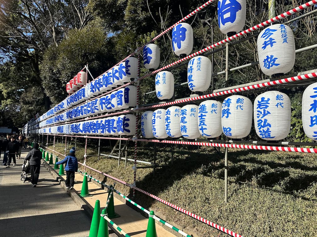 Foto do progresso no dia 56 da recuperação do joelho durante a viagem