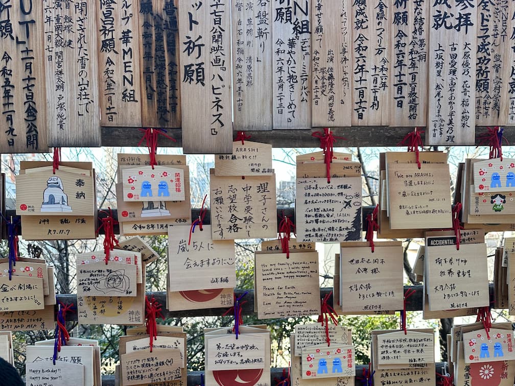 Imagem da reflexão da viagem e o que ela ensinou sobre recuperação do joelho